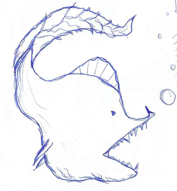 Doodle: fish
